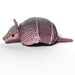 Armadillo 3D Cardboard Model Kit Eugy - for just $11.99! 