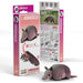Armadillo 3D Cardboard Model Kit Eugy - for just $11.99! 