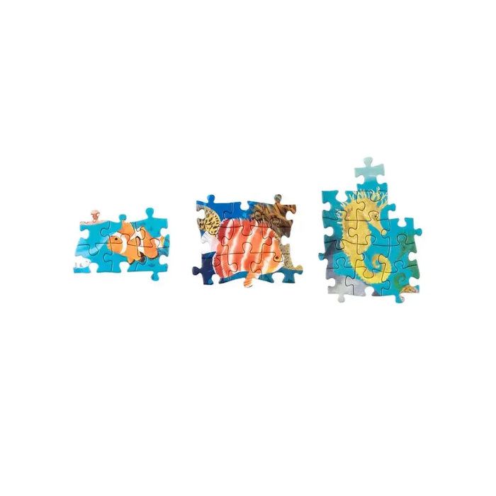 Around the World in 50 Fish 1000 Piece Jigsaw Puzzle Laurence King - for just $24.99! 