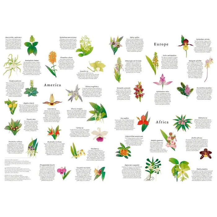 Around the World in 50 Orchids 1000 Piece Jigsaw Puzzle Laurence King - for just $24.99! 