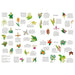 Around the World in 50 Orchids 1000 Piece Jigsaw Puzzle Laurence King - for just $24.99! 