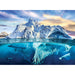 Artic 1000 Piece Jigsaw Puzzle Eurographics - for just $21.99! 