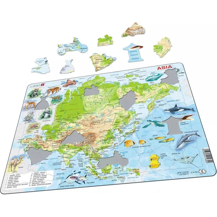 Asia Topographic Map 63 Piece Tray Jigsaw Puzzle Larsen - for just $11.99! 