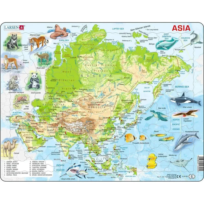Asia Topographic Map 63 Piece Tray Jigsaw Puzzle Larsen - for just $11.99! 