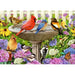 At the Birdbath 500 Large Piece Jigsaw Puzzle Ravensburger - for just $24.99! 
