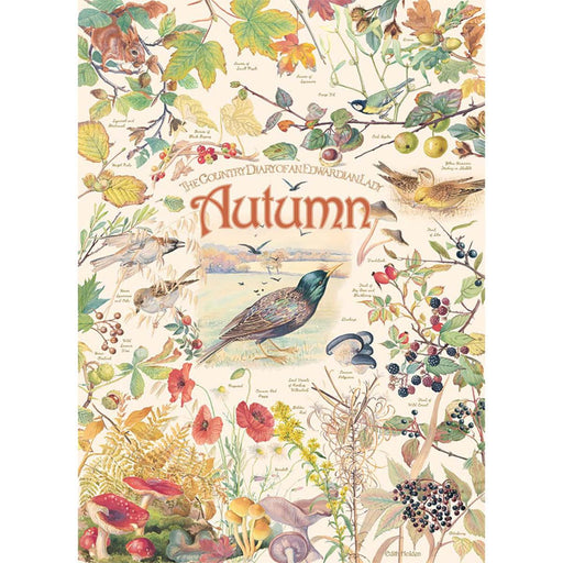Autumn Country Diary 1000 Piece Jigsaw Puzzle Cobble Hill - for just $19.99! 