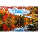 Autumn Lake 500 Piece Jigsaw Puzzle Springbok - for just $17.99! 