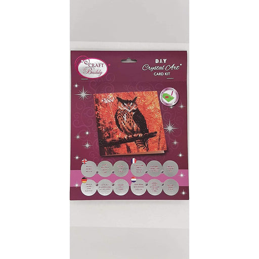 Autumn Owl Crystal Art Card Kit Craft Buddy - for just $7.99! 