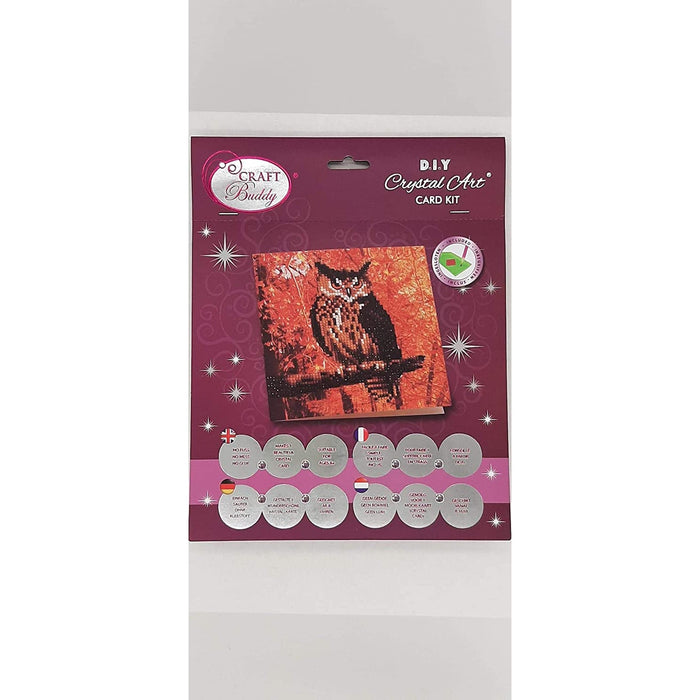 Autumn Owl Crystal Art Card Kit Craft Buddy - for just $7.99! 