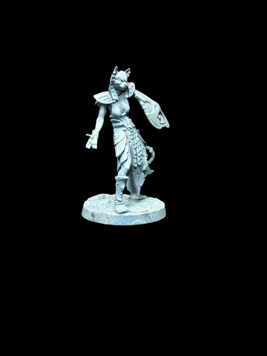 Catfolk Shield - for just $1.95! 