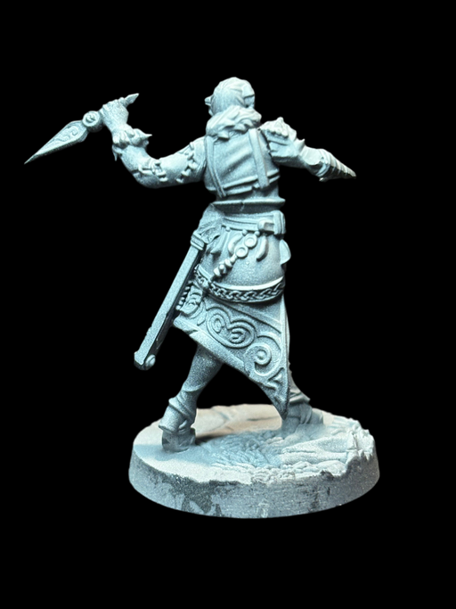 Human Pirate - Rogue - for just $1.95! 