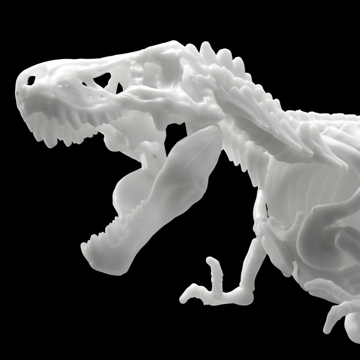 Bandai Spirits: Dinosaur - Tyrannosaurus (Limex Skeleton) Model Kit - for just $16.99! 