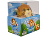 Pass The Ball With Olie - for just $20! 