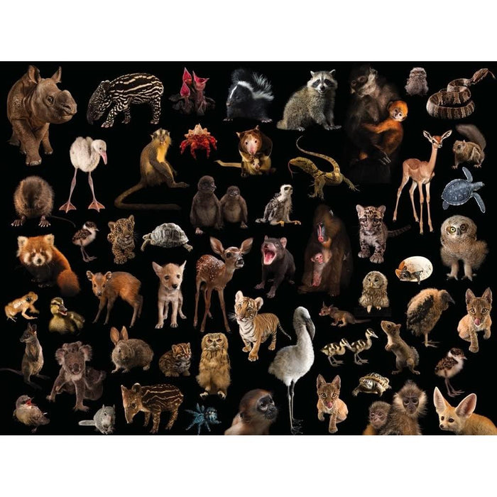 Baby Animals National Geographic Photo Ark 500 Piece Jigsaw Puzzle NYPC - for just $22.99! 
