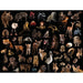 Baby Animals National Geographic Photo Ark 500 Piece Jigsaw Puzzle NYPC - for just $22.99! 