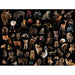 Baby Animals National Geographic Photo Ark 500 Piece Jigsaw Puzzle NYPC - for just $26.99! 