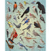 Backyard Birds 1000 Piece Jigsaw Puzzle Pomegranate - for just $24.99! 