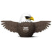 Bald Eagle 3D Cardboard Model Kit Eugy - for just $11.99! 