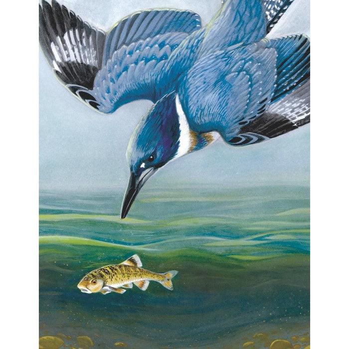 Belted Kingfisher 100 Piece Mini Jigsaw Puzzle NYPC - for just $11.99! 