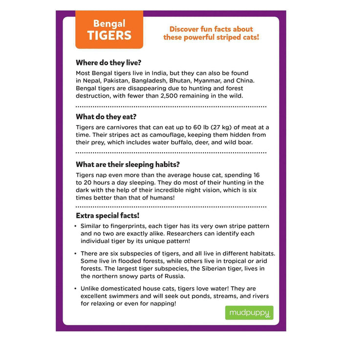 Bengal Tiger 48 Piece Mini Jigsaw Puzzle Mudpuppy - for just $4.99! 