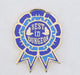 Foam Brain Games: Enamel Pin - Dungeon Crawler Carl - Best in Dungeon - for just $11.99! 