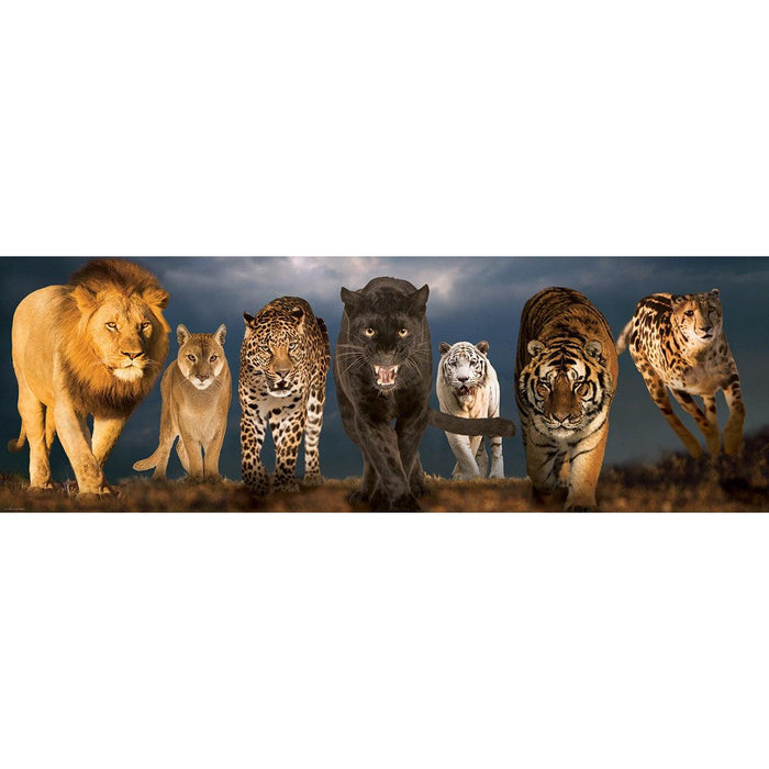 Big Cats 1000 Piece Panoramic Jigsaw Puzzle Eurographics - for just $19.99! 