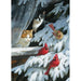 Bird Watchers 1000 Piece Jigsaw Puzzle Cobble Hill - for just $19.99! 