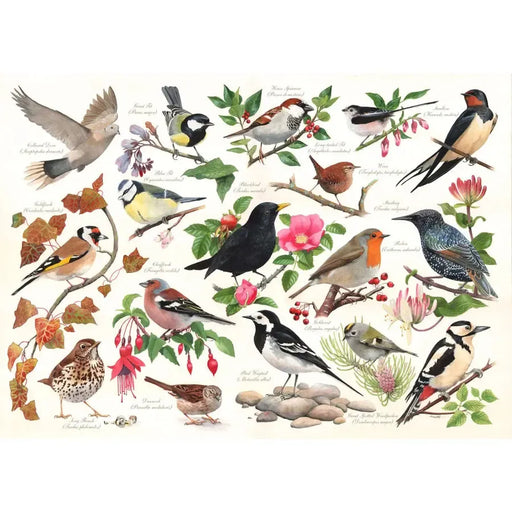 Birds in My Garden 1000 Piece Jigsaw Puzzle HOP - for just $24.99! 