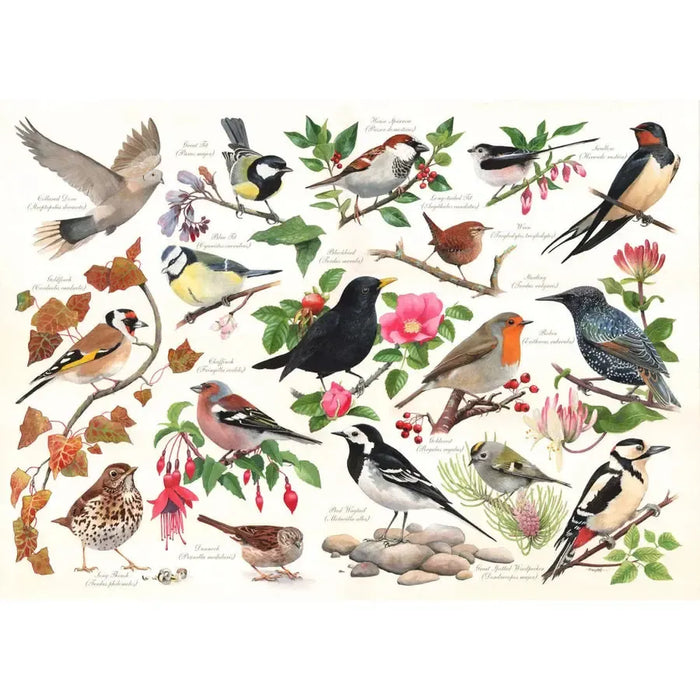 Birds in My Garden 1000 Piece Jigsaw Puzzle HOP - for just $24.99! 