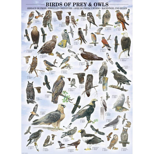 Birds of Prey & Owls 1000 Piece Jigsaw Puzzle Eurographics - for just $19.99! 