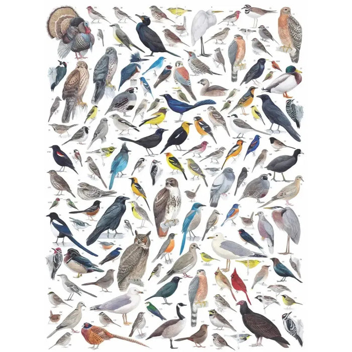 Birds of Western North America 1000 Piece Jigsaw Puzzle NYPC - for just $28.99! 