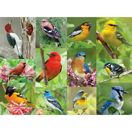 Birds of a Feather 500 Piece Jigsaw Puzzle Springbok - for just $17.99! 