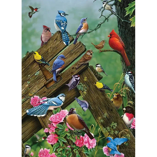 Birds of the Forest 1000 Piece Jigsaw Puzzle Cobble Hill - for just $19.99! 