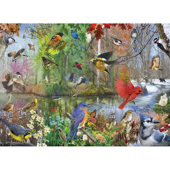 Birds of the Season 1000 Piece Jigsaw Puzzle Cobble Hill - for just $19.99! 