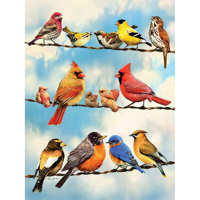 Birds on a Wire 500 Piece Jigsaw Puzzle Cobble Hill - for just $17.99! 