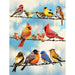 Birds on a Wire 500 Piece Jigsaw Puzzle Cobble Hill - for just $17.99! 
