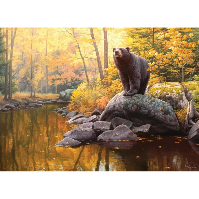 Black Bear Pond 1000 Piece Jigsaw Puzzle Cobble Hill - for just $19.99! 