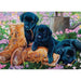 Black Lab Puppies 35 Piece Tray Jigsaw Puzzle Cobble Hill - for just $9.99! 