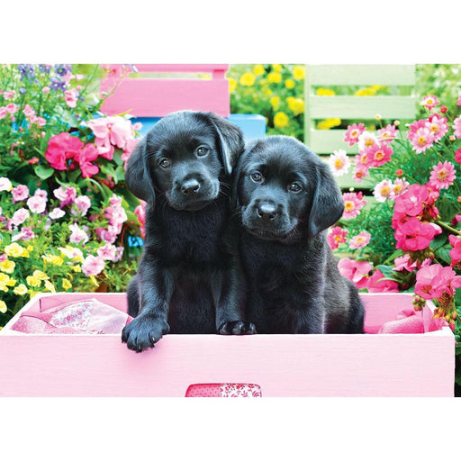 Black Labs in a Pink Box 500 Piece Jigsaw Puzzle Eurographics - for just $17.99! 