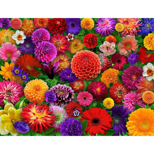 Blooming Every Daisy 500 Piece Jigsaw Puzzle Springbok - for just $17.99! 