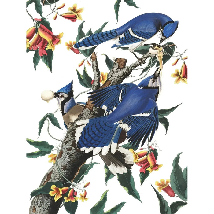Blue Jays Vintage Collection 500 Piece Jigsaw Puzzle NYPC - for just $26.99! 