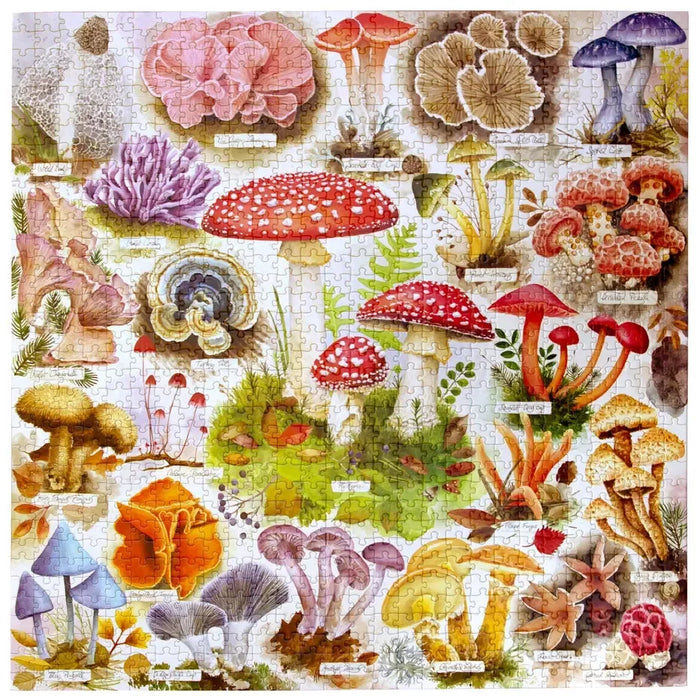 Bountiful Mushrooms 1000 Piece Jigsaw Puzzle eeBoo - for just $26.99! 