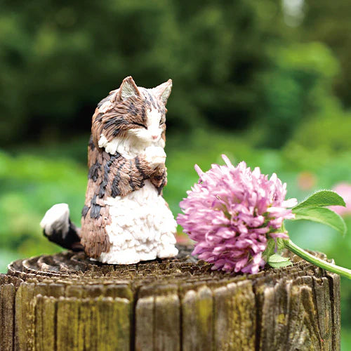 WISHING CATS BLIND BOX (1 Blind Box) - for just $9.99! 