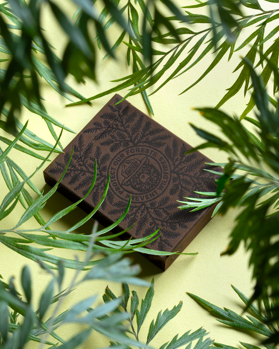 Limited Brown Edition Smokey Bear Playing Cards - for just $14.99! 