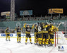 Boston Bruins 2023 Winter Classic Champions Team Celebration 8" x 10" Hockey Photo - for just $9.99! 