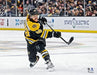 David Pastrnak Shooting Action Boston Bruins 8" x 10" Hockey Photo - for just $9.99! 