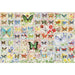 Butterflies & Blossoms 2000 Piece Jigsaw Puzzle Cobble Hill - for just $29.99! 