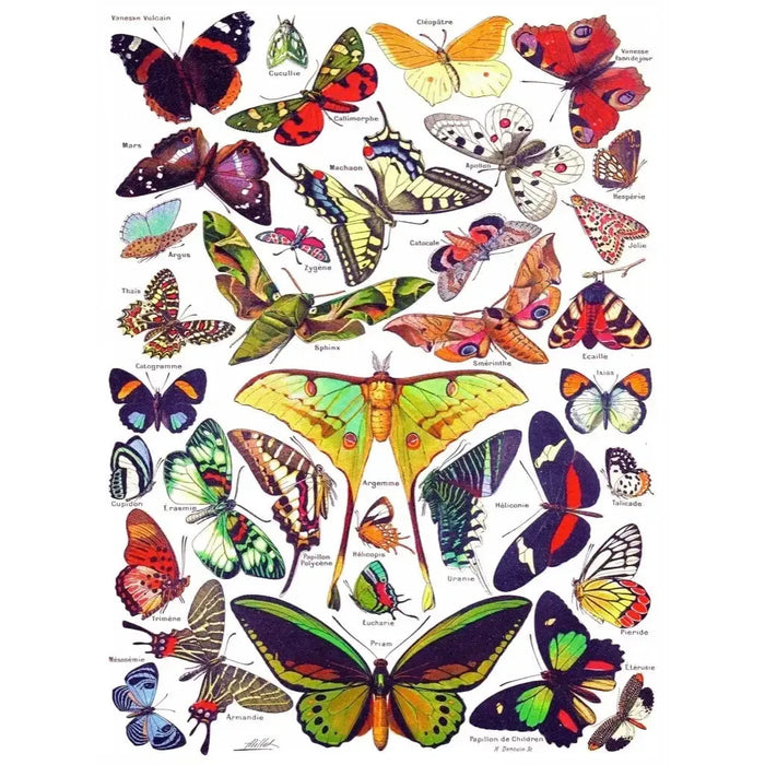Butterflies ~ Papillons 1000 Piece Jigsaw Puzzle NYPC - for just $28.99! 
