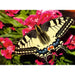 Butterfly 500 Piece Jigsaw Puzzle Ravensburger - for just $19.99! 