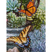 Butterfly Bliss 500 Piece Jigsaw Puzzle Springbok - for just $17.99! 